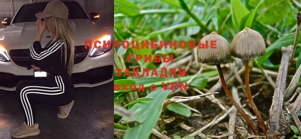MDMA Алексин