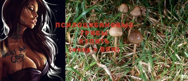mdpv Алексеевка