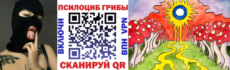 закладки  Александровское  Псилоцибиновые грибы прущие грибы 